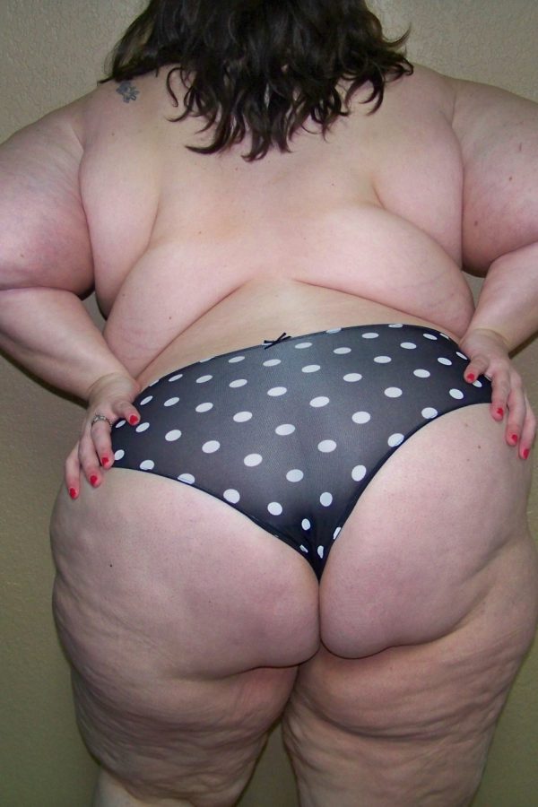 rencontre-Cougar-Saint-Dié-des-Vosges